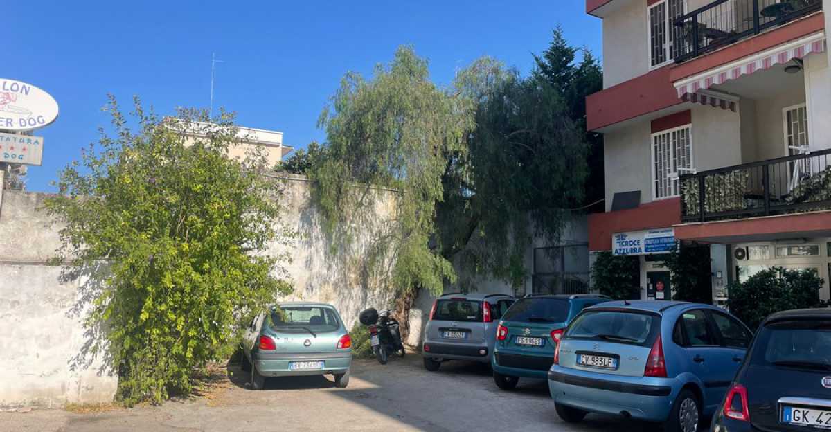 La storia della risorta Croce Azzurra Barinedita Testata